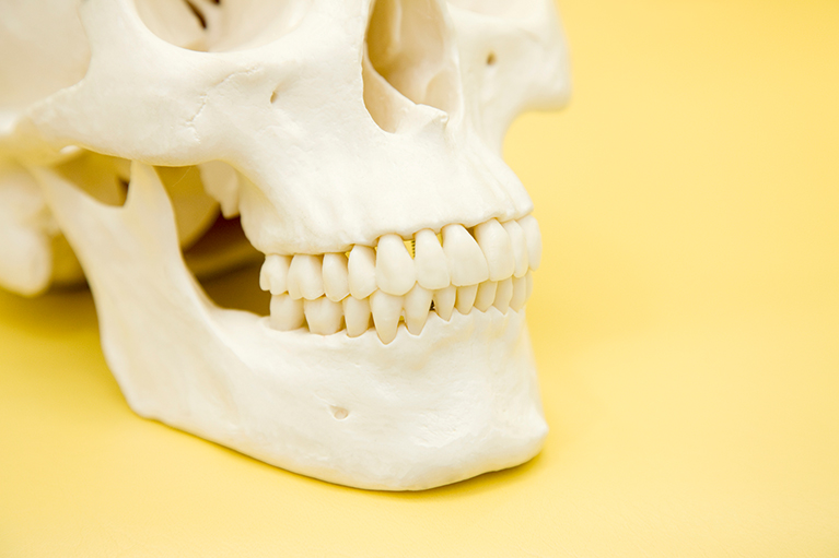 歯が一本もないのですが、インプラント治療はできるのでしょうか?